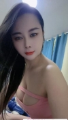 包河小夜猫