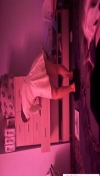 91风流-1032477/1_1032477.jpeg