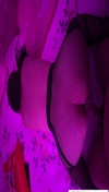 91风流-1034257/3_1034257.jpeg