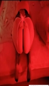 91风流-1044146/3_1044146.jpg