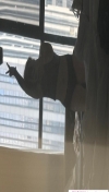 91风流-1064780/3_1064780.jpeg
