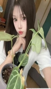91风流-1092908/2_1092908.jpeg