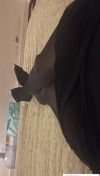 91风流-1093248/2_1093248.jpeg