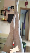 91风流-1094275/3_1094275.jpg