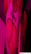 玉祥门sm奶龙