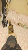 91风流-200093/2_200093.png