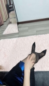 91风流-898296/3_898296.jpg